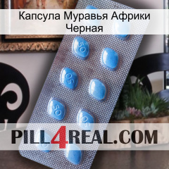 Капсула Муравья Африки Черная viagra3